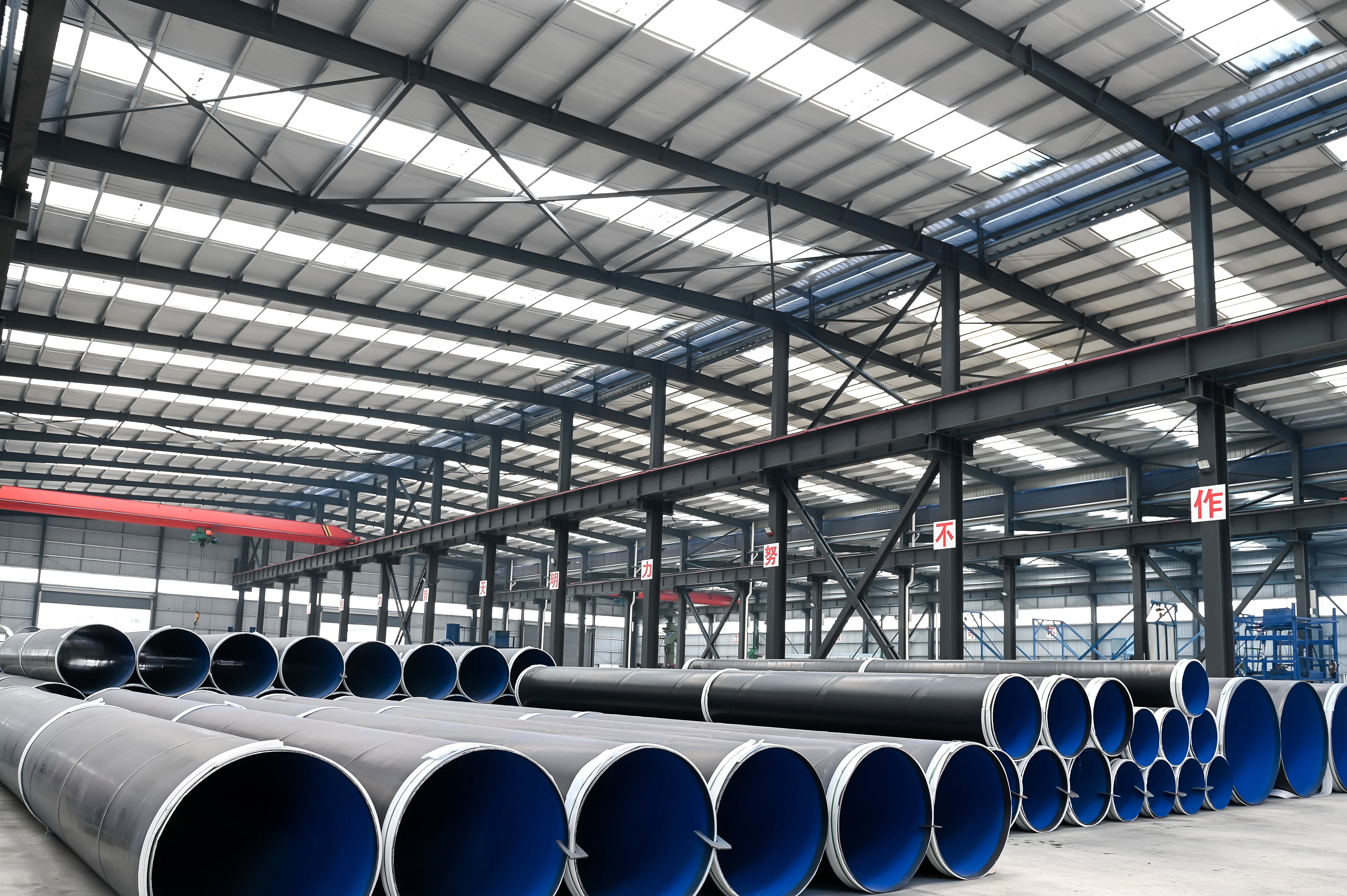 HOP_1479_proc.jpg HOP_1479_proc.jpg